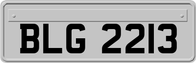 BLG2213