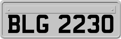 BLG2230