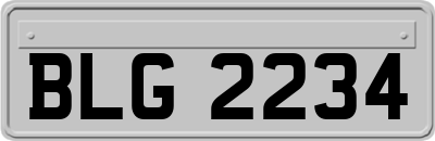 BLG2234