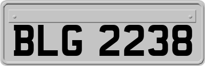 BLG2238