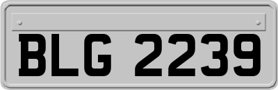 BLG2239