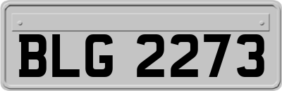 BLG2273