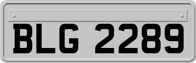 BLG2289