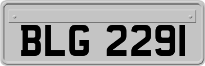 BLG2291