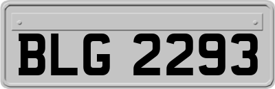 BLG2293