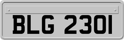 BLG2301