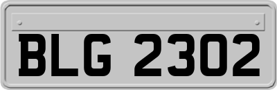 BLG2302