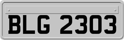 BLG2303