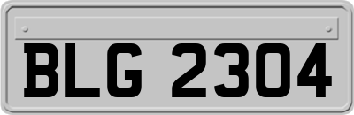 BLG2304
