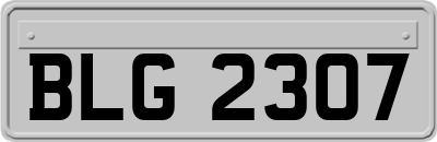 BLG2307