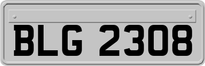 BLG2308