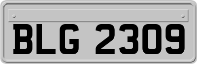 BLG2309