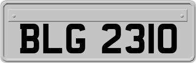BLG2310