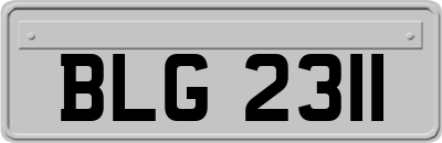 BLG2311