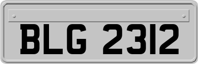 BLG2312