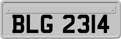 BLG2314