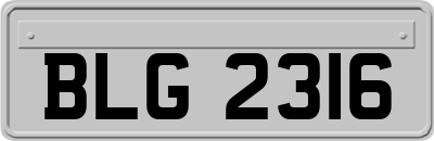 BLG2316