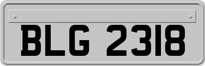 BLG2318