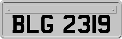 BLG2319