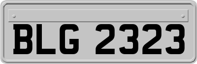 BLG2323