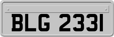 BLG2331