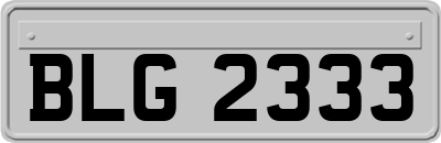 BLG2333