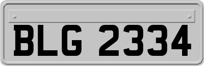 BLG2334