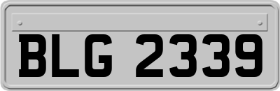 BLG2339