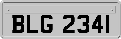 BLG2341