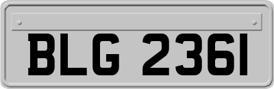 BLG2361