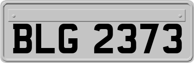 BLG2373