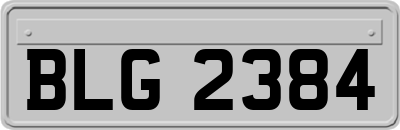 BLG2384