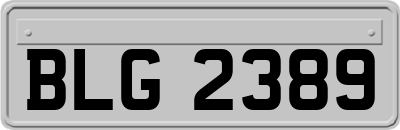 BLG2389