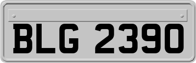 BLG2390
