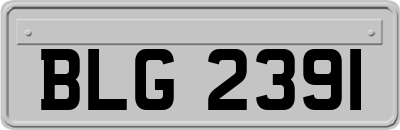 BLG2391