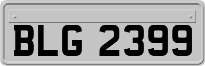 BLG2399
