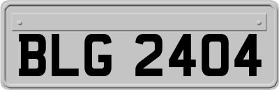 BLG2404