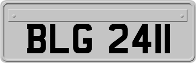 BLG2411