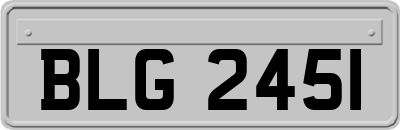 BLG2451
