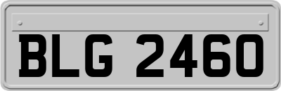BLG2460