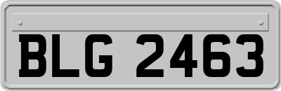 BLG2463