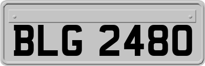BLG2480