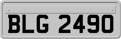 BLG2490