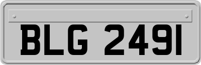 BLG2491