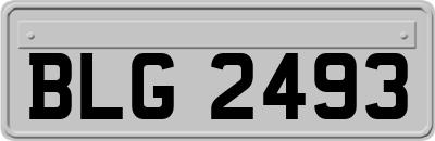 BLG2493