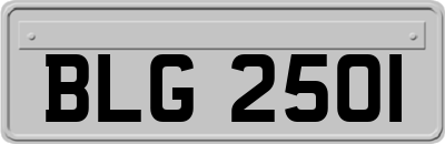 BLG2501