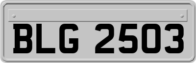 BLG2503