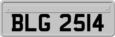 BLG2514