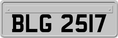 BLG2517