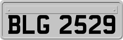 BLG2529